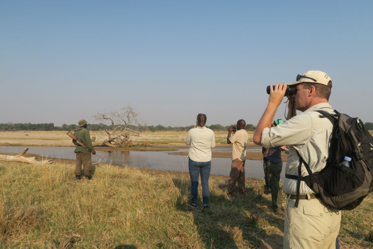 Wandel safari North Luangwa National Park Zambia