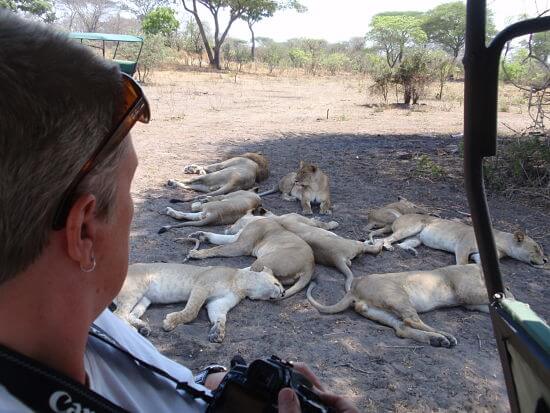 Game drive in Ruaha National Park Tanzania