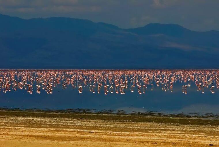 Lake Manyara National Park Tanzania