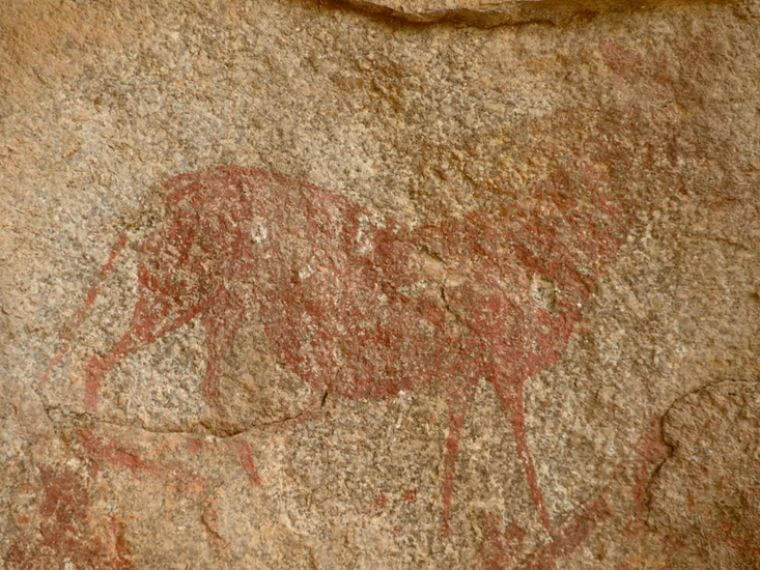 Rotsschilderingen in Matobo National Park Zimbabwe