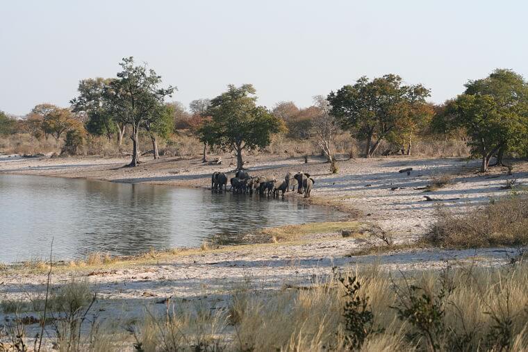 Mahango Game Reserve Namibië