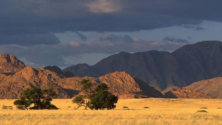 Namib Naukluft National Park, Namibie