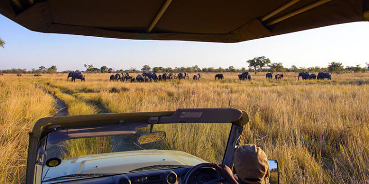 Mudumu National Park in Zambezi regio Namibië