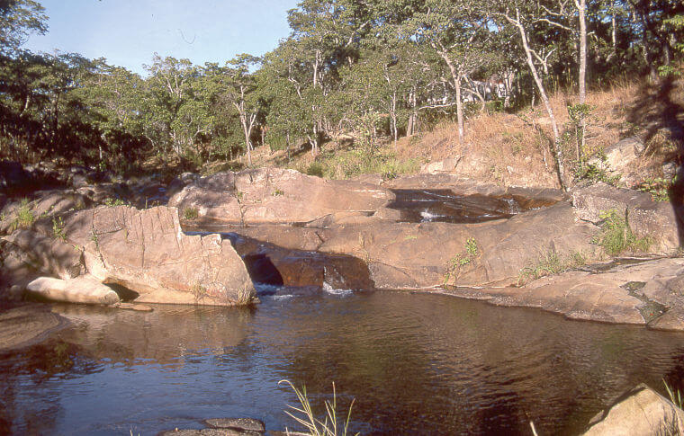 Dzalanyama Forest Reserve Malawi