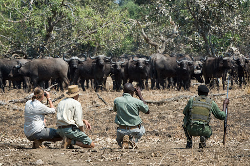 Wandel safari in Mweru Wantipa National Park Zambia