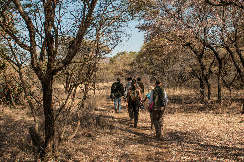 Wandel safari in Mokolodi Nature Reserve Botswana