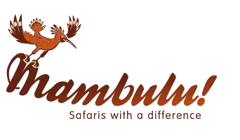 Mambulu! Safaris With A Difference