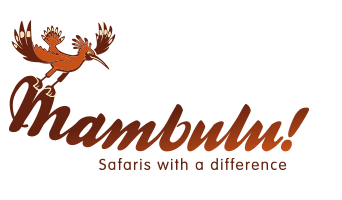 Mambulu! Safaris With A Difference