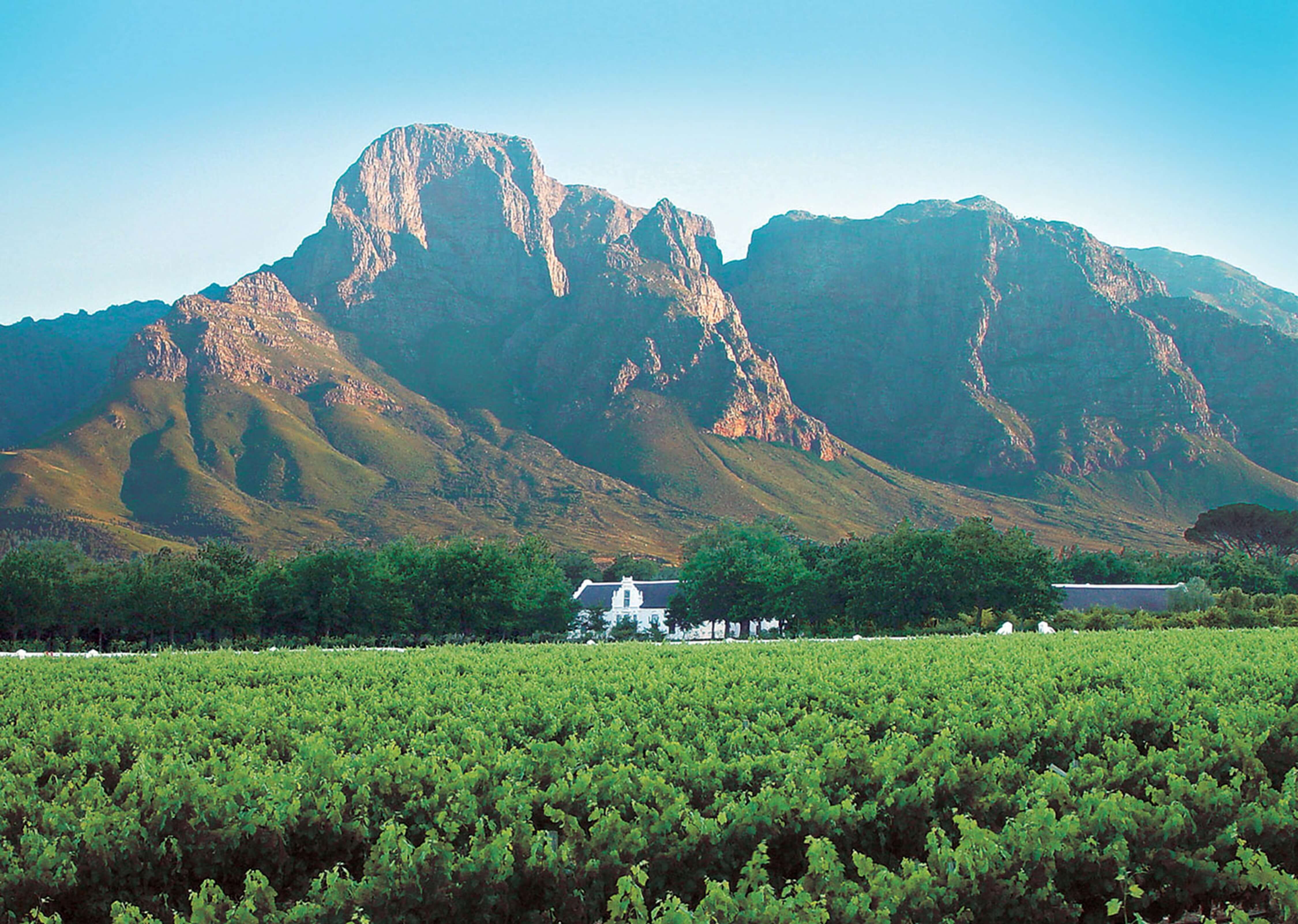 Boschendal Wine Estate Zuid-Afrika
