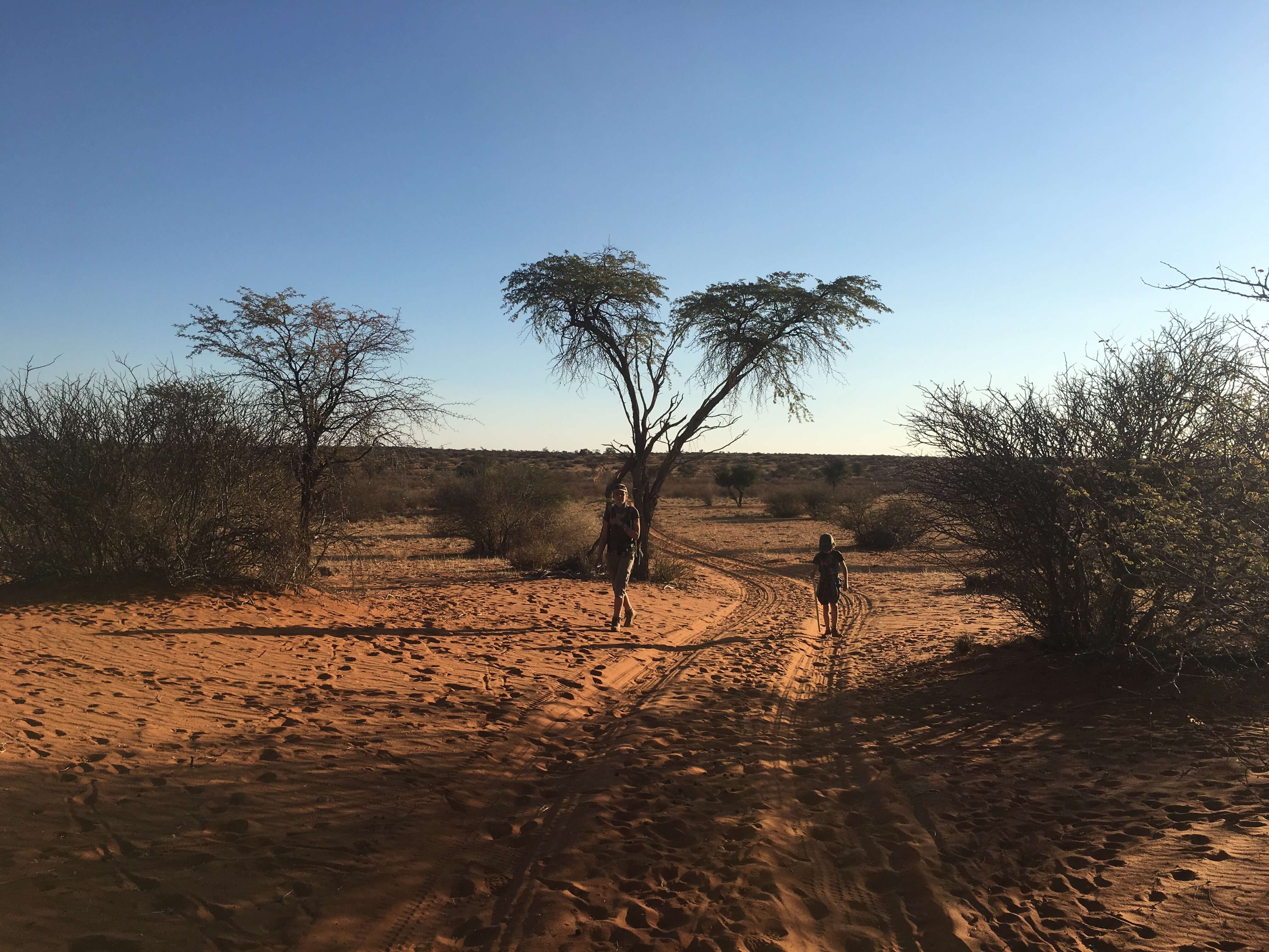 Familie van der Kolk op wandel safari in Namibië