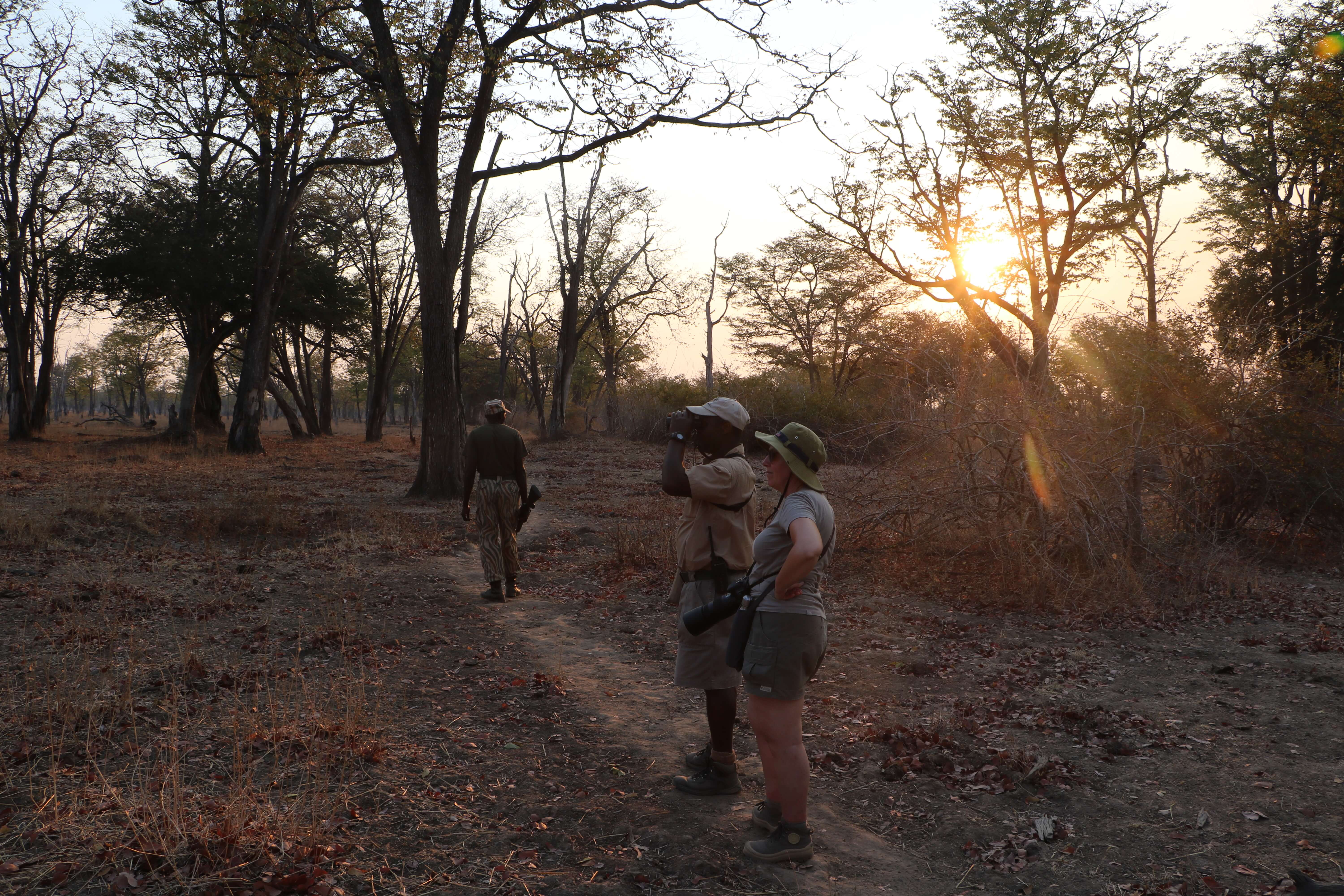 Wandel safari in South Luangwa National Park Zambia