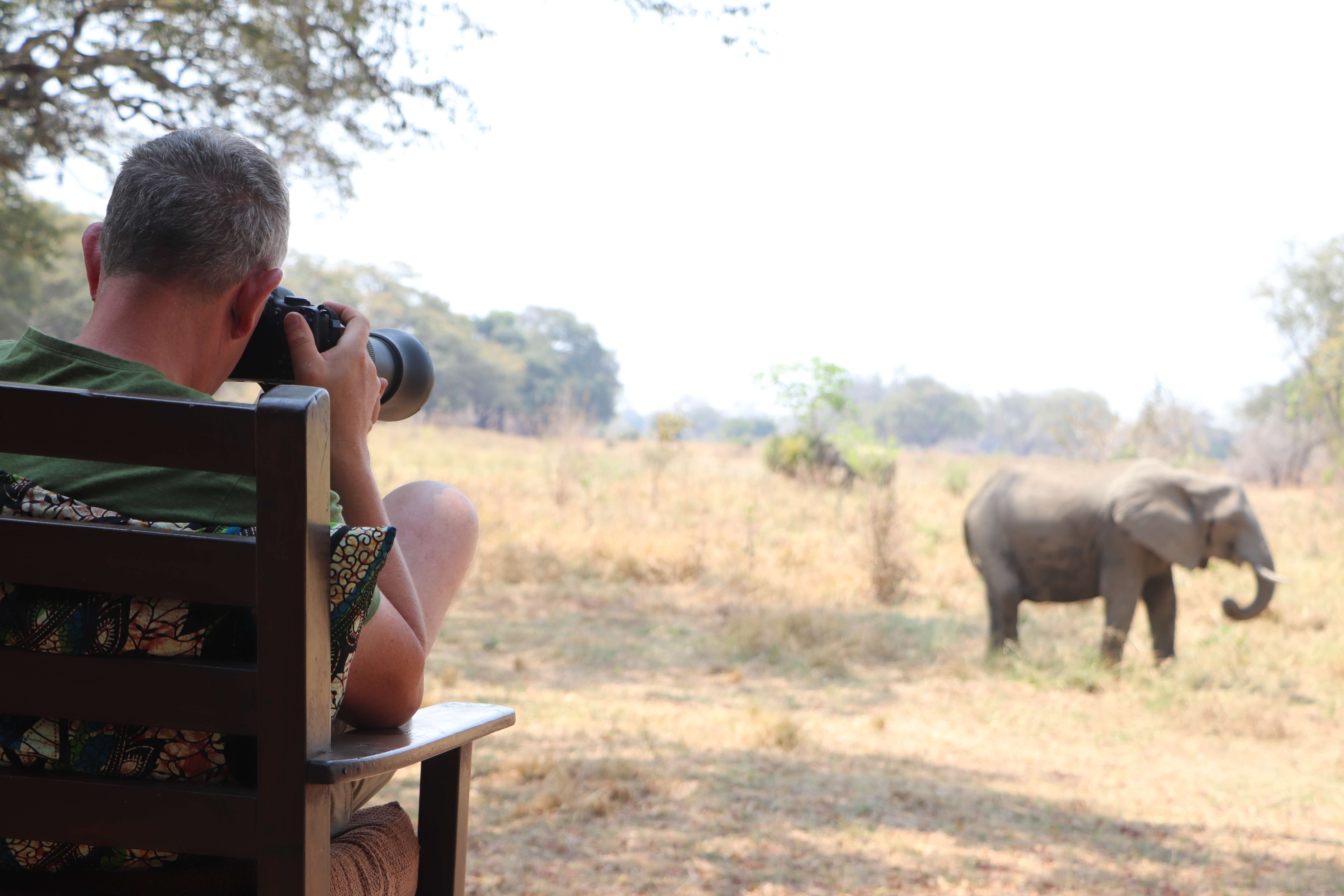 South Luangwa National Park, Wildlife spotten vanuit stoel, Zambia