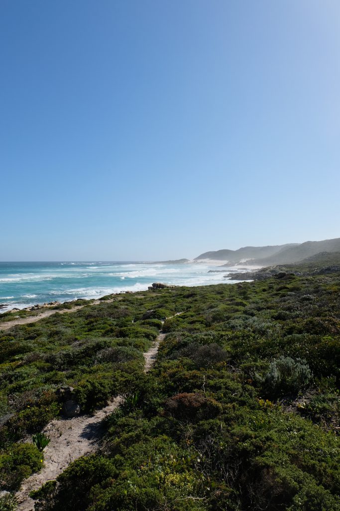 Table Mountain National Park, Cape Point, Zuid-Afrika
