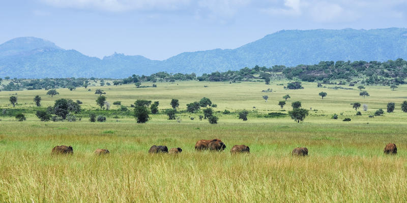 Kidepo Valley National Park Uganda