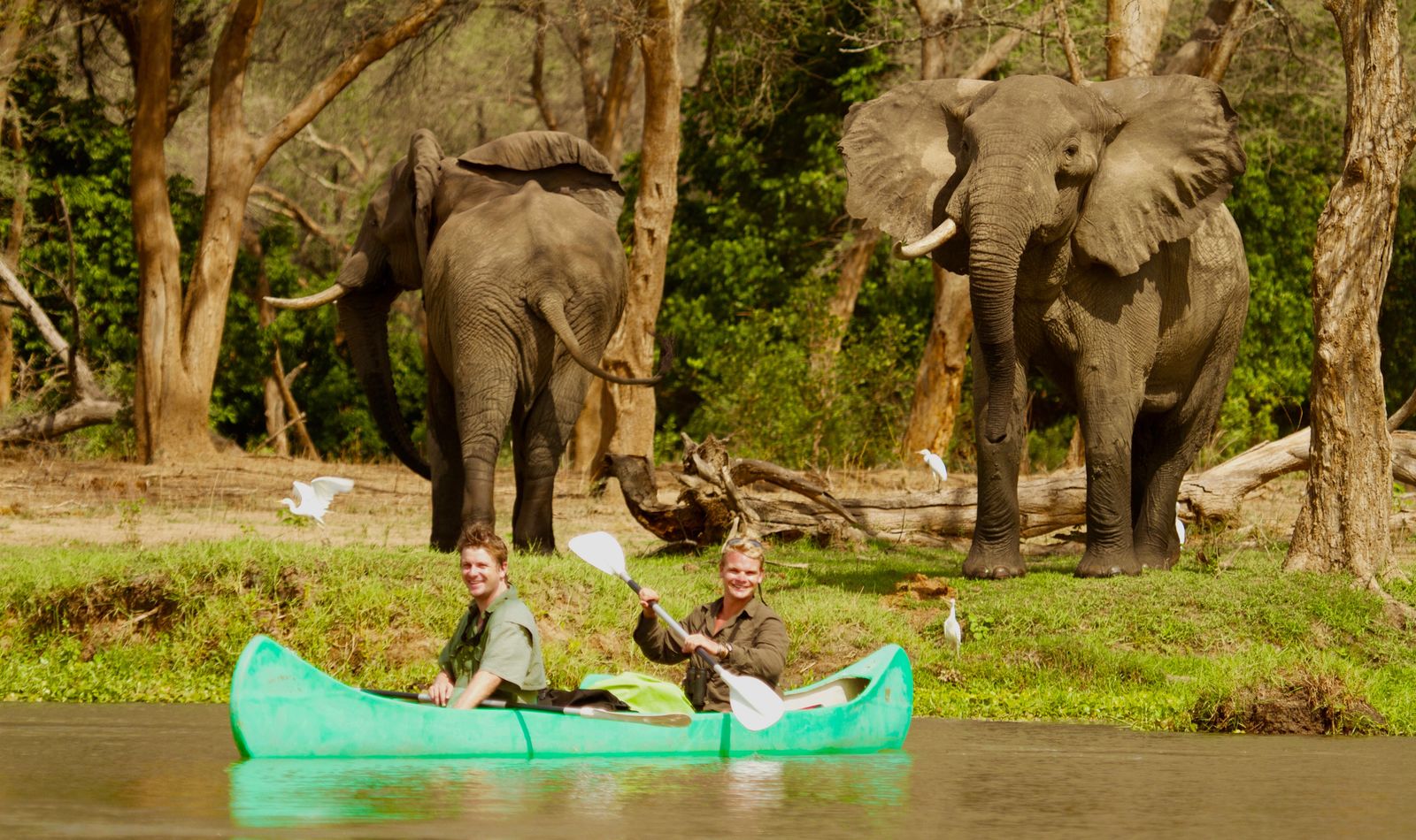 Olifanten tijdens kano safari Lower Zambezi National Park Zambia