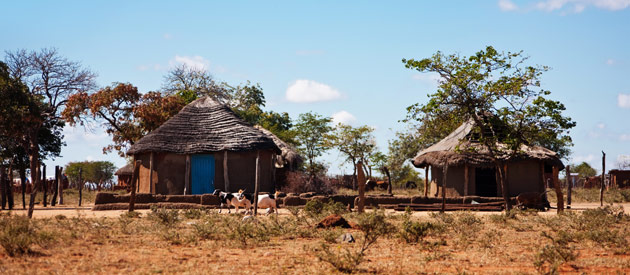 Dorpje in Omaheke provincie Namibië