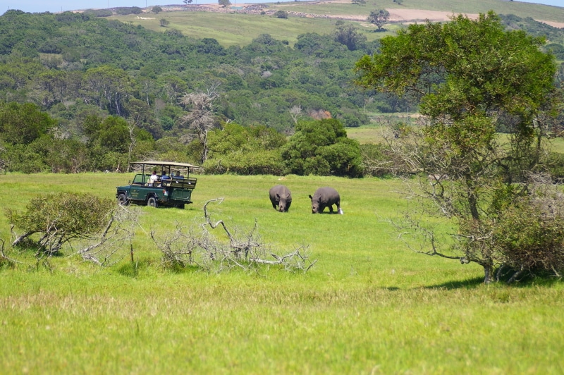 Game drive in Kragga Kamma Game Park Zuid-Afrika