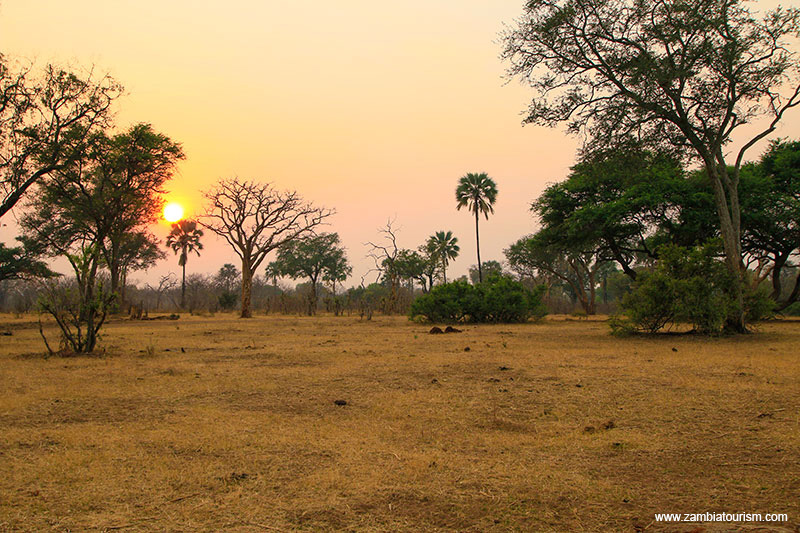 Mosi-oa-Tunya National Park Livingstone Zambia