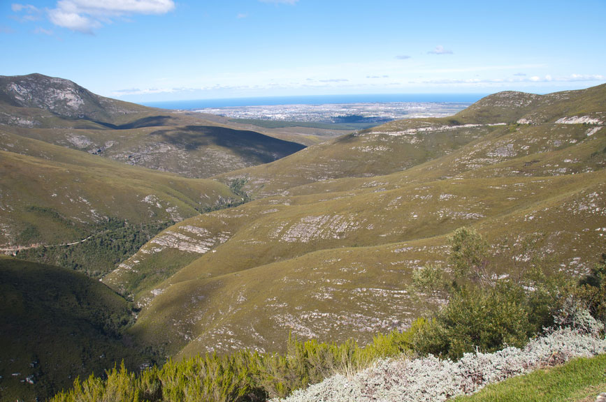 Outeniqua Nature Reserve Zuid-Afrika