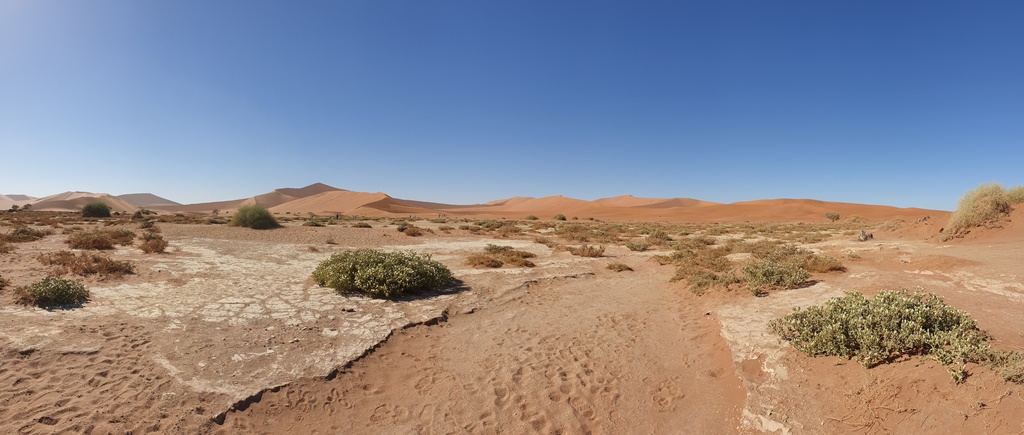 Panorama Sossusvlei Namibië