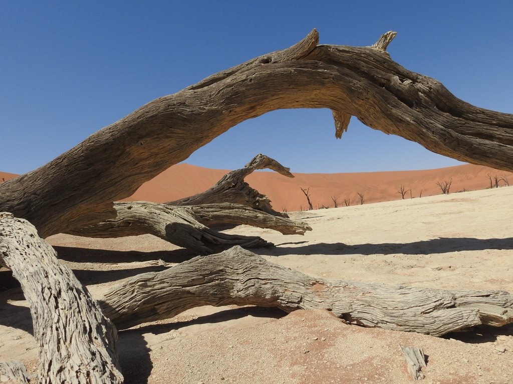 Deadvlei Namibië