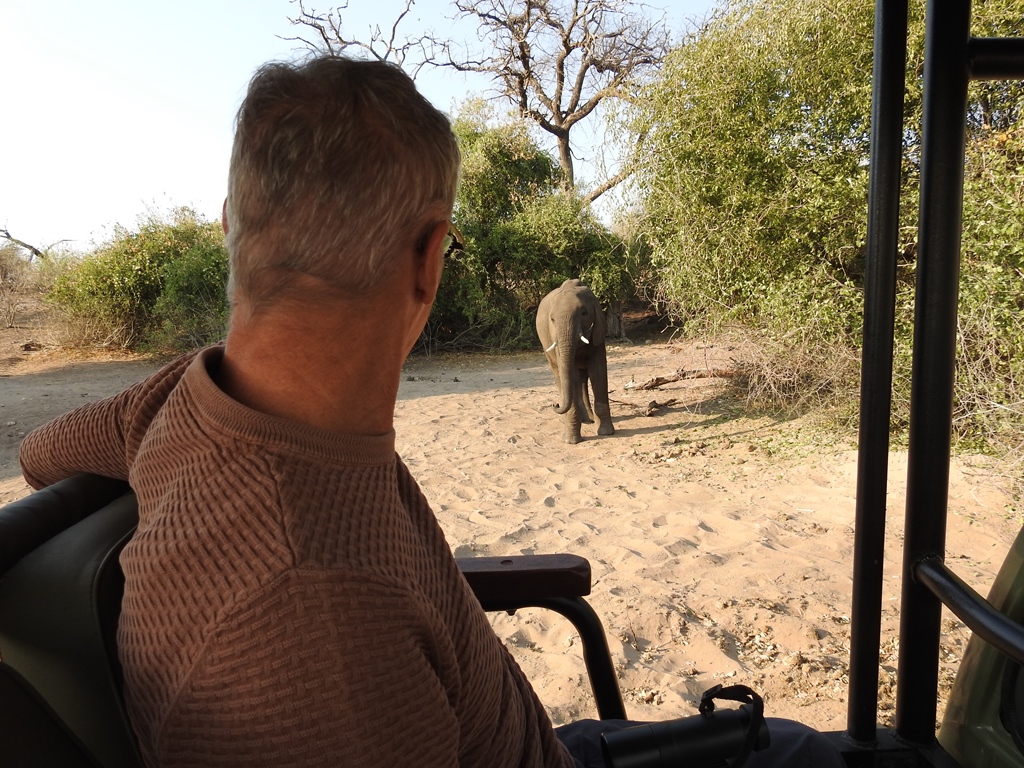 Ruud kan hem bijna aanraken in Chobe National Park Botswana