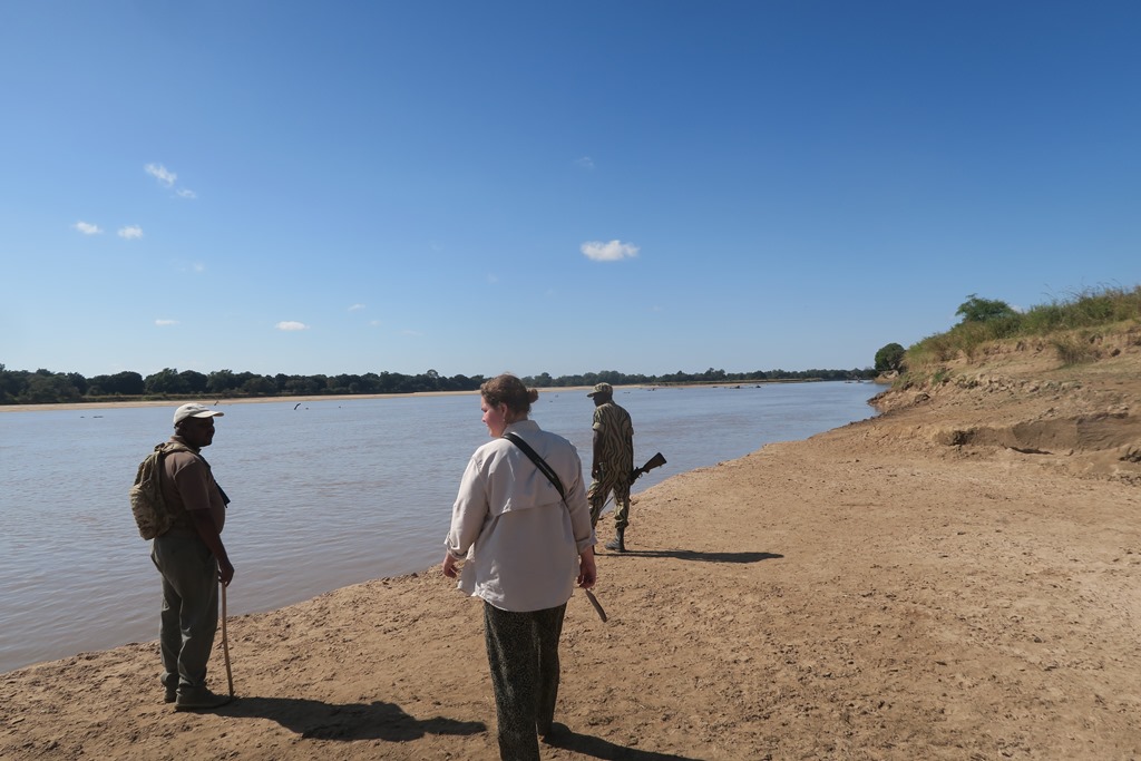 Wandel safari langs Luangwa rivier Zambia