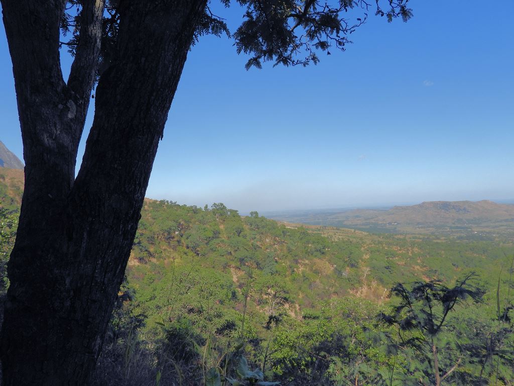 Wandeling met gids op Mount Mulanje Malawi