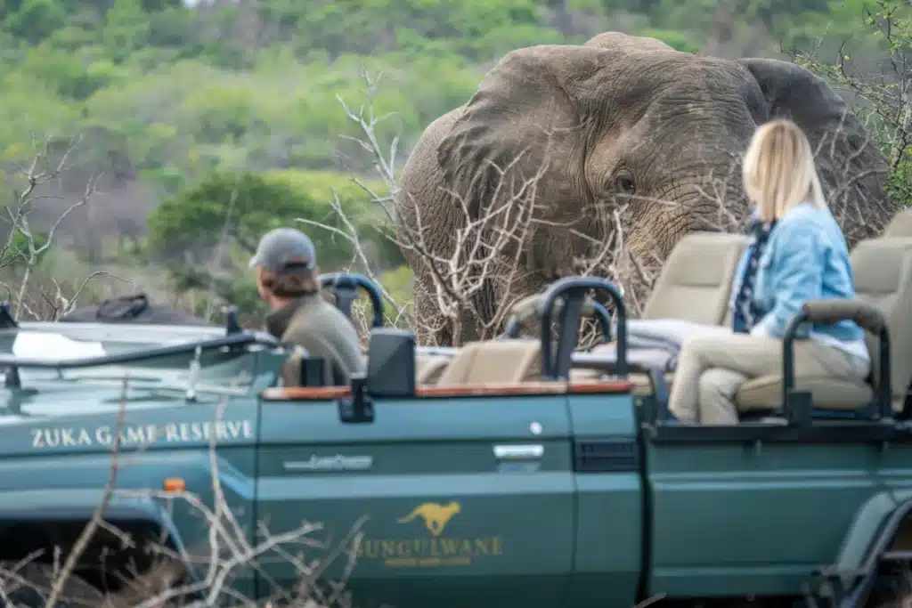 Guide and guest during game drive facing an elephant in Zuka Game Reserve, KwaZulu Natal ©Sungulwane Private Game Lodge