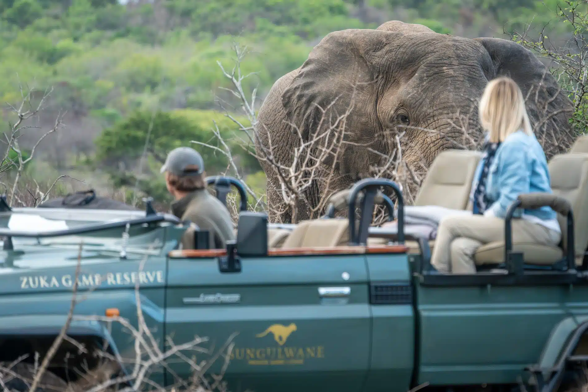Guide and guest during game drive facing an elephant in Zuka Game Reserve, KwaZulu Natal ©Sungulwane Private Game Lodge