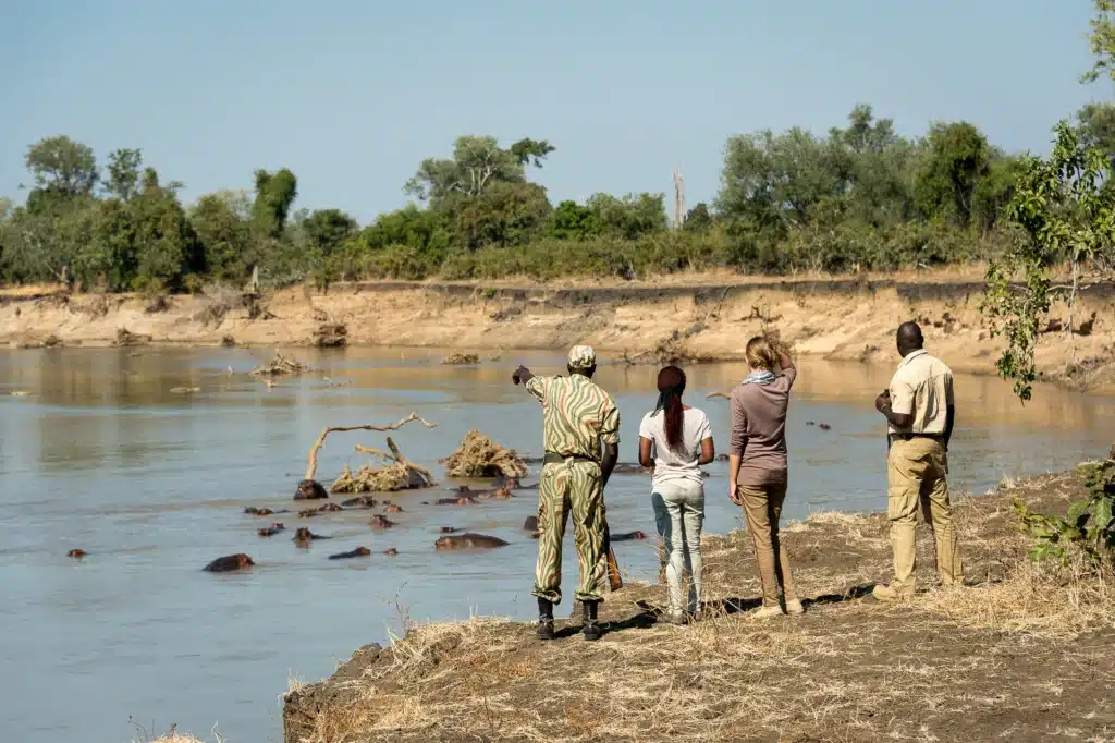 Walking Safari South Luangwa National Park ©Robin Pope